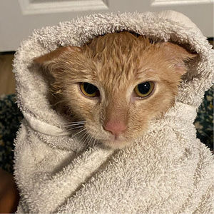 Meet your Posher, Briyonna